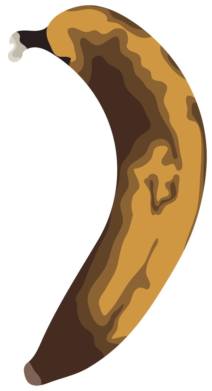 Vector single overripe banana fruit vector illustration