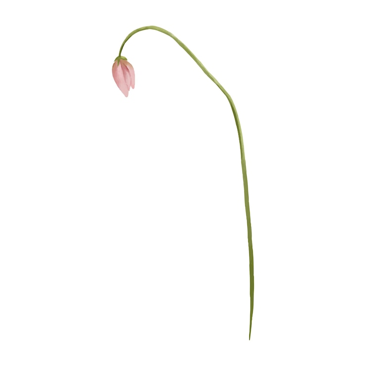 Vector a single pink flower with a green stem and a green stem.