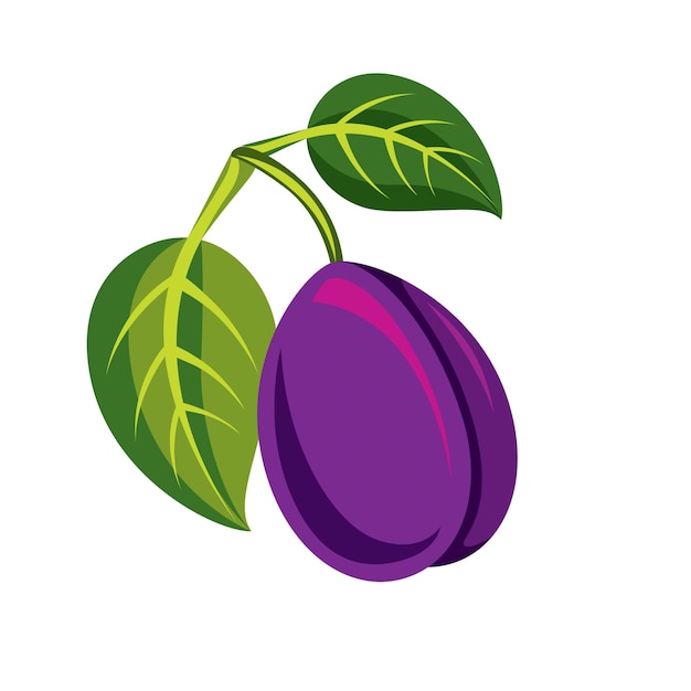 Single purple simple vector plum with green leaves, ripe sweet fruit illustration. Healthy and organic food, harvest season symbol.