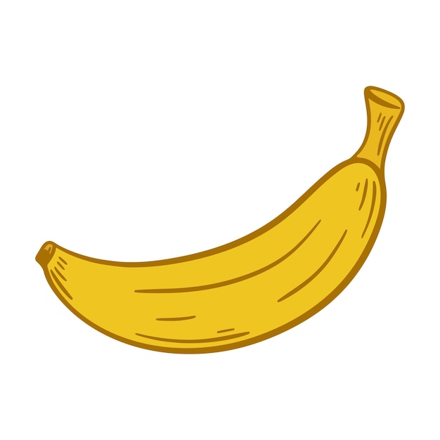 벡터 단일 익은 노란 바나나 클립 아트 손으로 그려진 바나나 건강한 간식 건강한 유기농 식품 고립