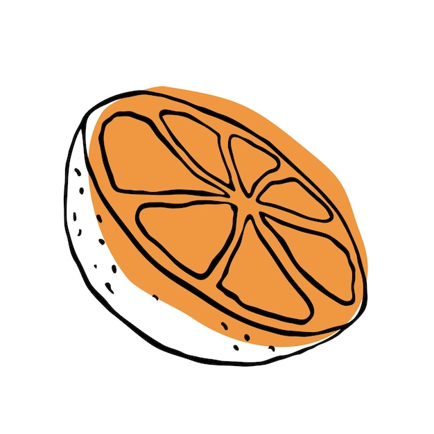 Single vector illustration of an orange. line art orange, doodle