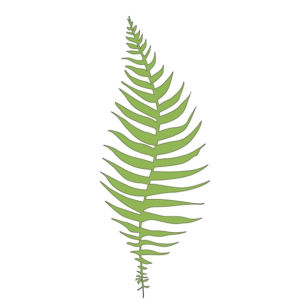 Vector single vector tropical fern leaf