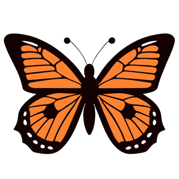 Vector singular beauty monarch butterfly design