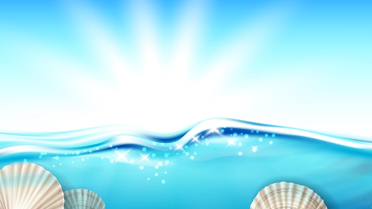 Vector sint-jakobsschelpweekdier in oceaanwater kopieer de ruimtevector