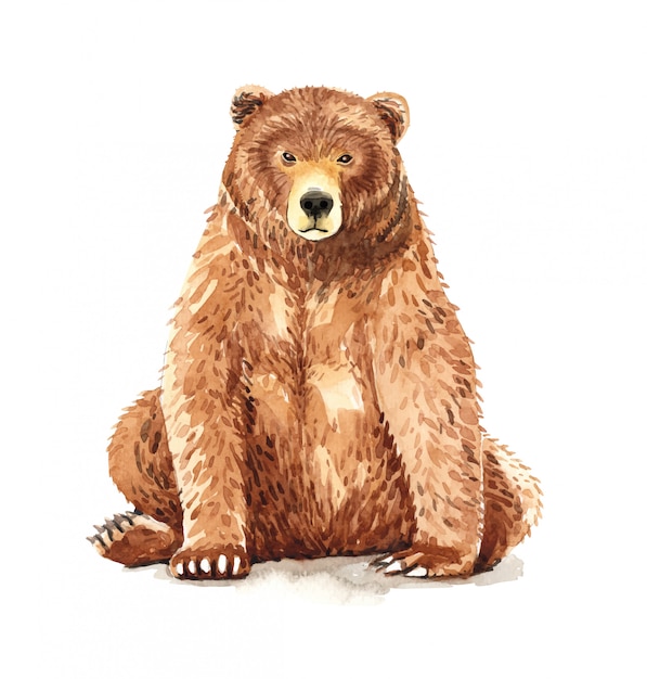 Sitting Bear Watercolor Painting. 