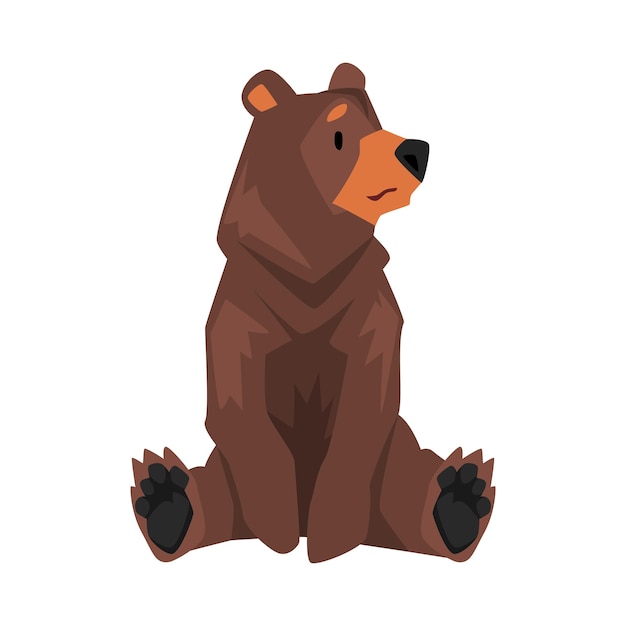 Sitting brown grizzly bear wild animal character cartoon vector illustration