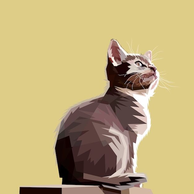 the sitting cat looks up hoping