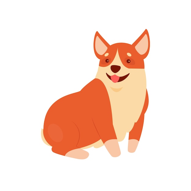 Sitting corgi with tong out