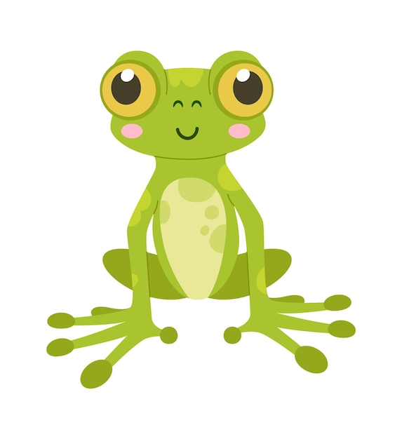 Vector sitting frog amphibian