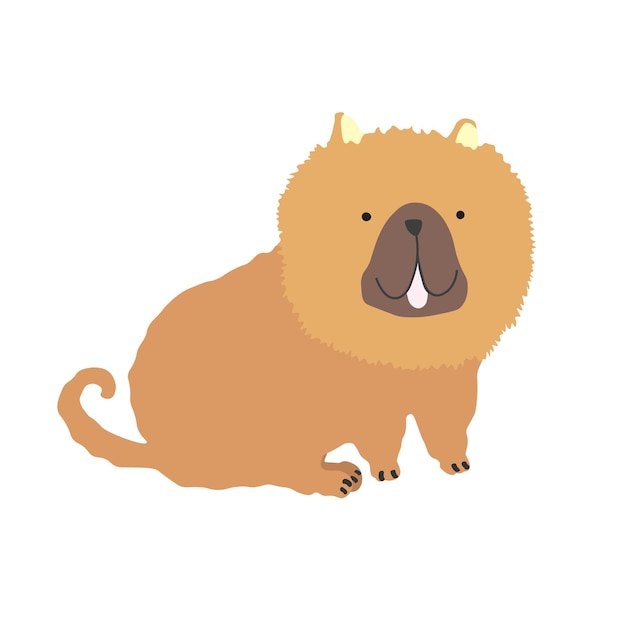 Sitting tibetan mastiff dog colored illustration colored flat vector isolated on white background