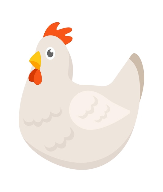 Vector sitting white hen flat illustration