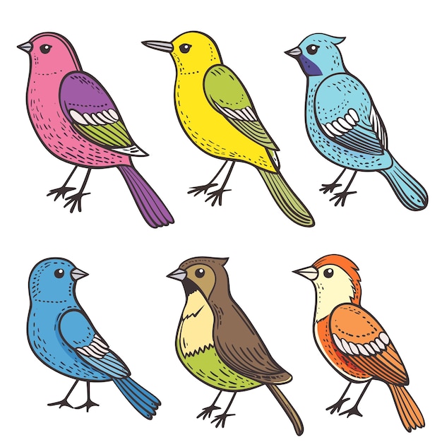 six colorful cartoon birds standing vibrant hues nature theme bird illustrations feature unique