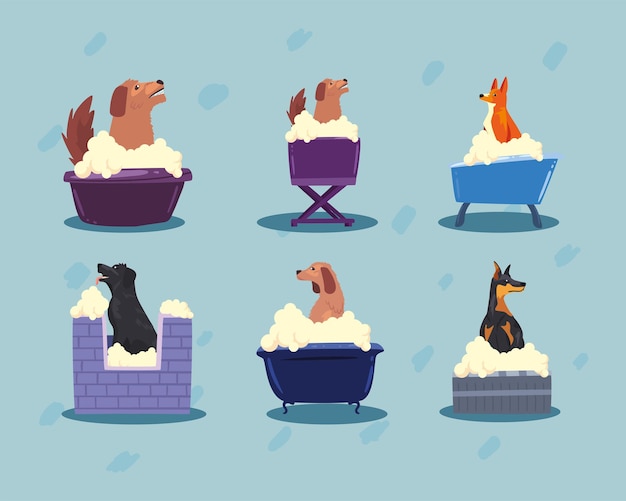 Vector six dogs bathing