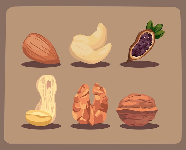 Six flat kinds of nuts