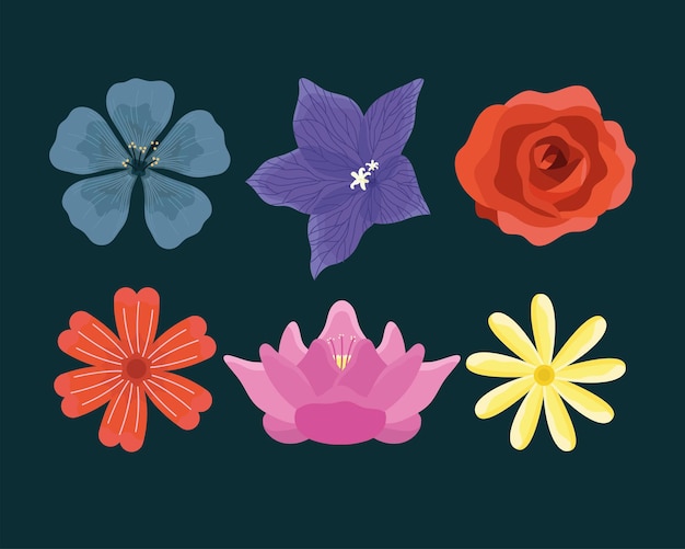 Vector six flowers decoration