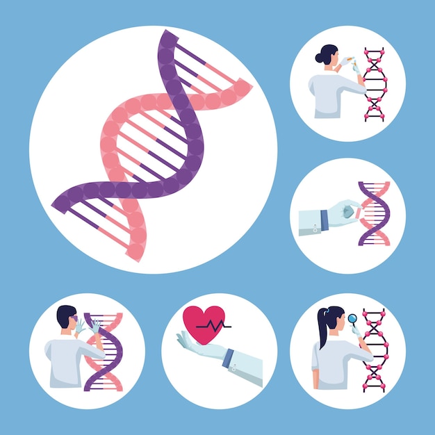 Six genetic testing elements