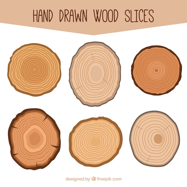 Six hand drawn wood slices