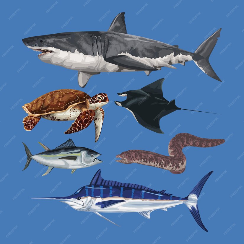 Premium Vector | Six marine life animals