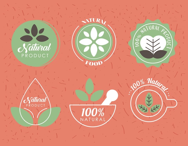 Vector six natural labels