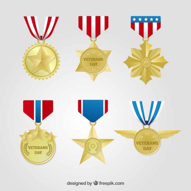 Six veterans day medals