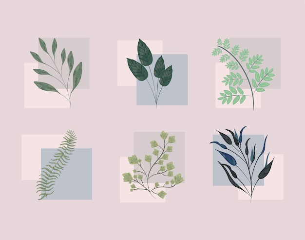 Vector six watercolor leaves