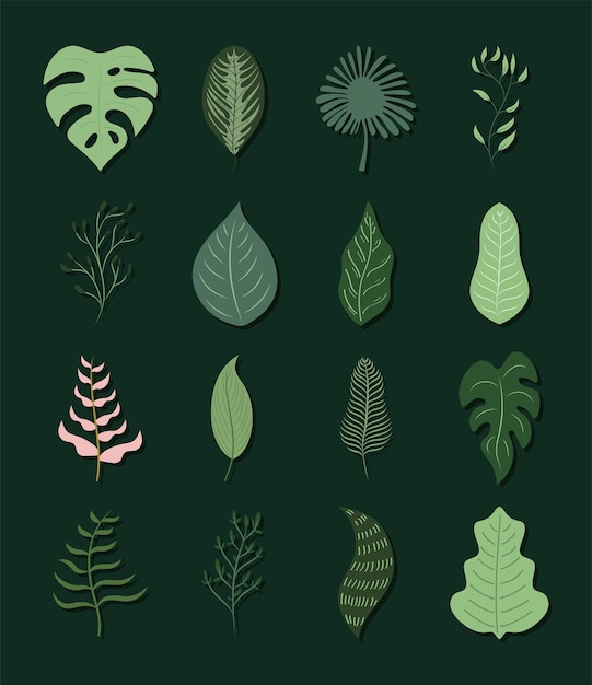 Sixteen garden leaves