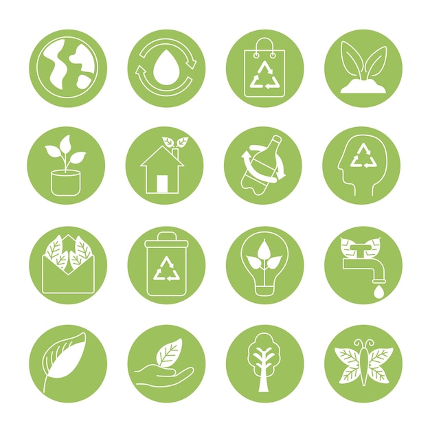 Sixteen organic and nature icons