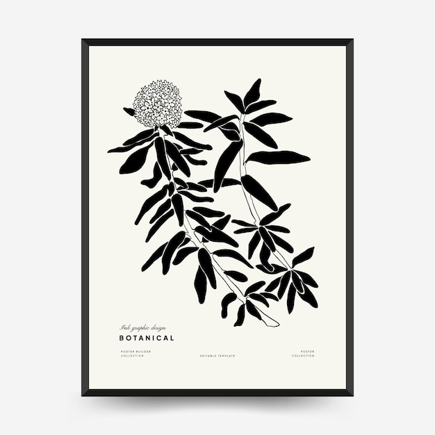 Sjabloon voor abstract bloemenposters. Moderne botanische trendy zwarte stijl. Vintage bloemen