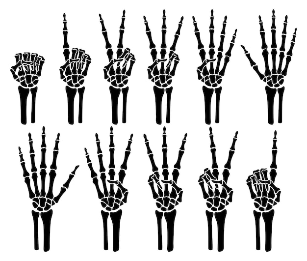 Vector skelet bot hand tellen aantal vingers teken illustratiesxa