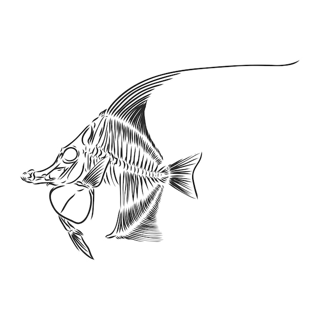 Skelet van vissen. schetsen. skelet van een prehistorische vis vector schets illustratie