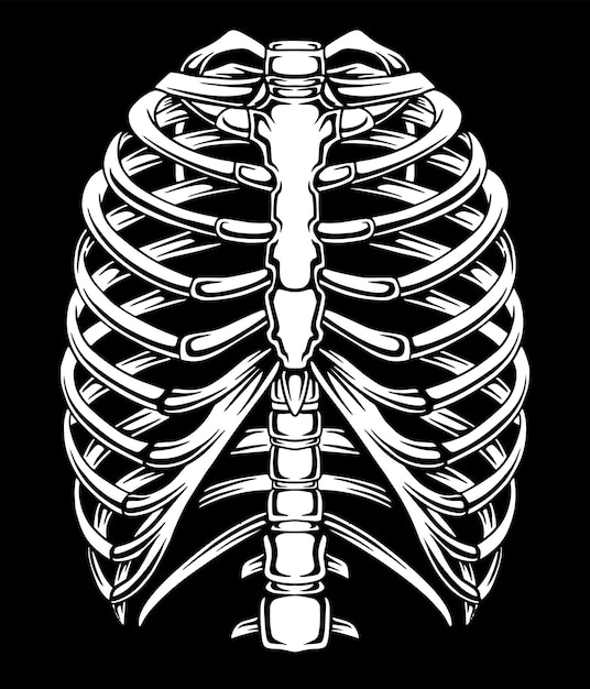 Vector skeleton body simple illustration