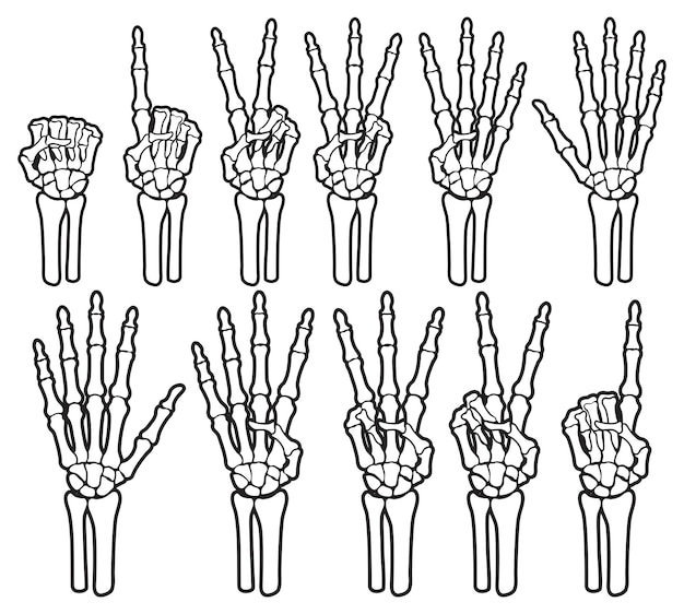 Vector skeleton bone hand counting number of fingers sign illustrationsxa