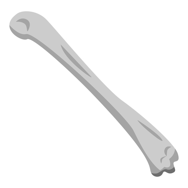 Вектор Иконка кости скелета изометрическая иконка вектора кости скелета для веб-дизайна выделена на белом фоне