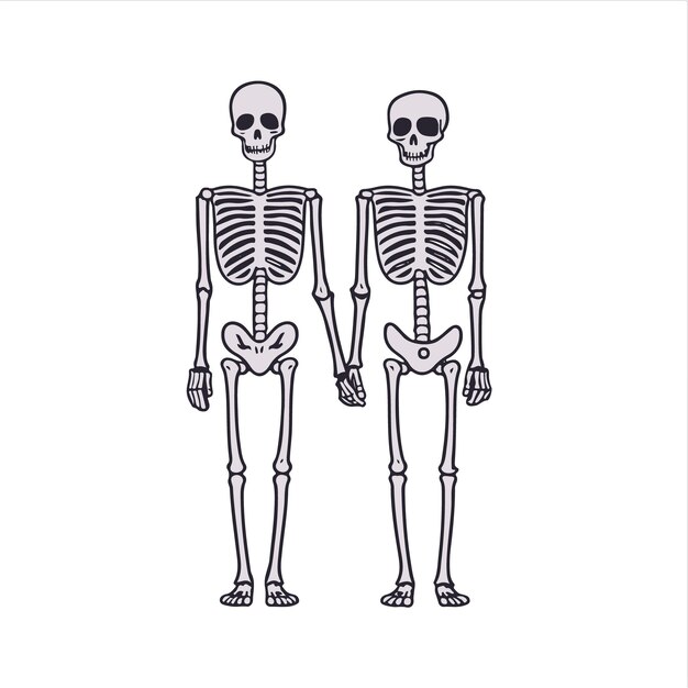 Skeleton Couple Vector Art Design with Flowers Roses Sticker