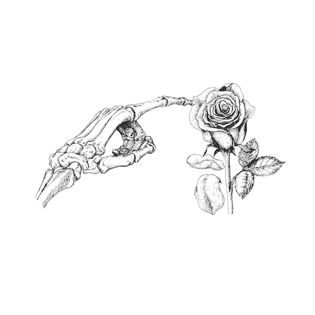 Clearly I really only sketch wiltingdead flowers Wilting roses almost  ready to be dried  rWitchesVsPatriarchy