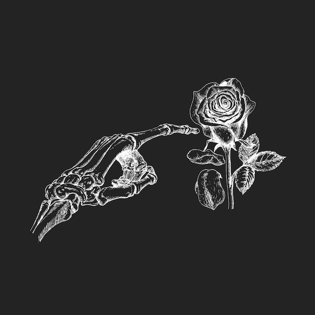 Скелет рука и роза нарисованы эскиз в векторе
