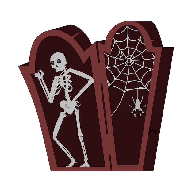 Skeleton in opened wooden coffin with spider and web Halloween vector illustration