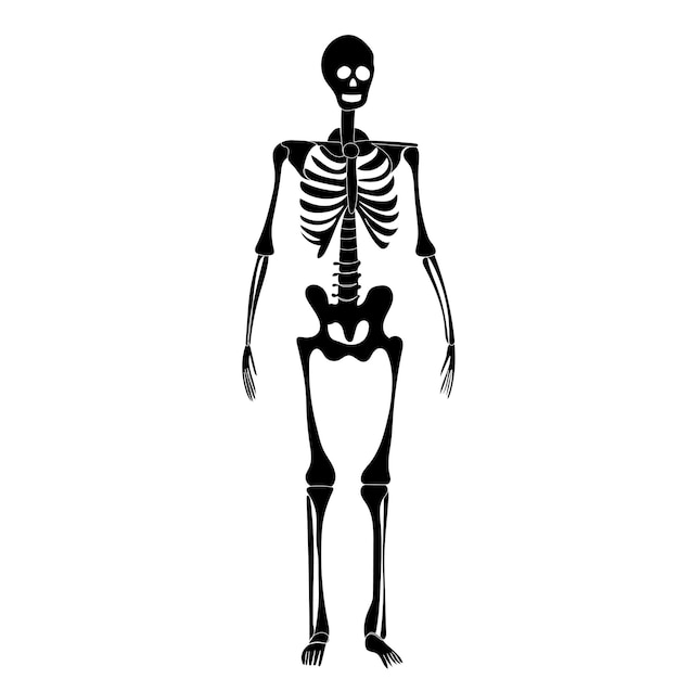 Vettore sagoma di scheletro su sfondo bianco