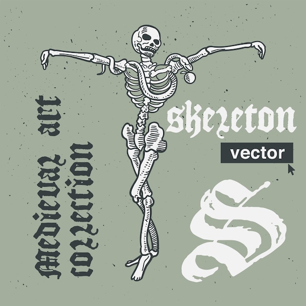 Skeleton vector engraving style illustration medieval art with blackletter calligraphy