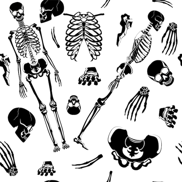Skeletpatroon schedel en botten in naadloze achtergrond