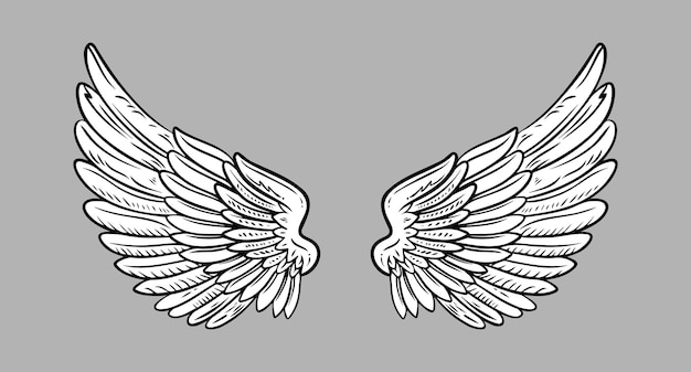 Sketch angel wings Angel feather wing Vector illustratie