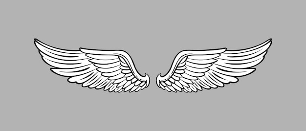 Sketch angel wings Angel feather wing Vector illustration