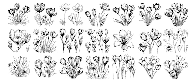 Vector sketch banner set of spring flowers hyacinths for your design