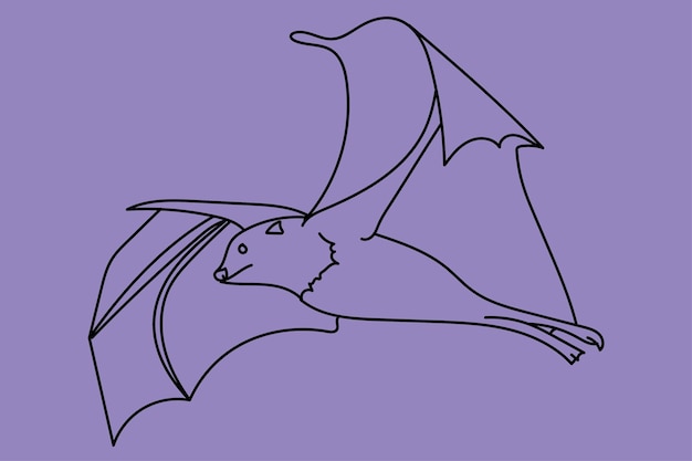 Sketch bat line art