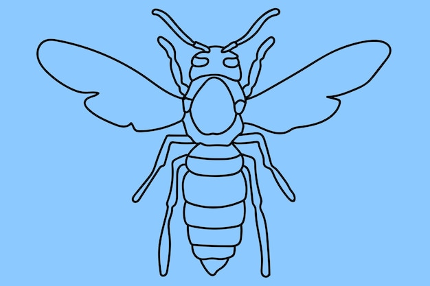 Эскиз пчелы штриховой рисунок