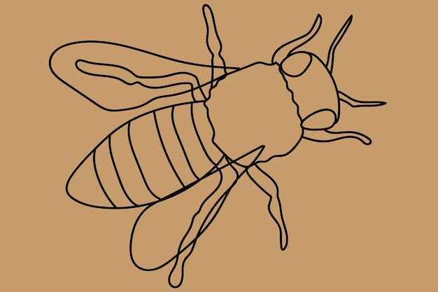 Эскиз пчелы штриховой рисунок