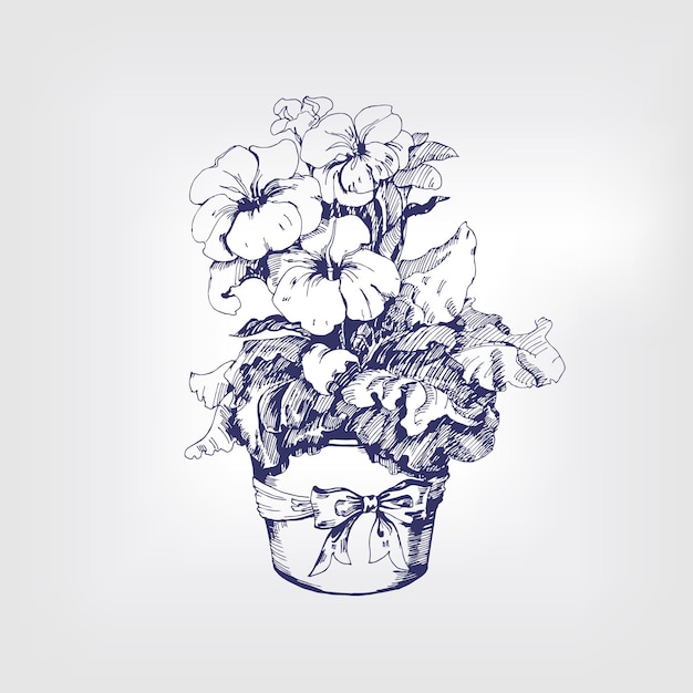 Vector sketch of blossoming primrose. element for your design. vector illustration.