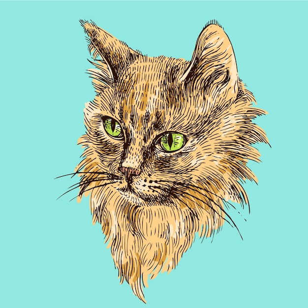 Vector sketch of cat