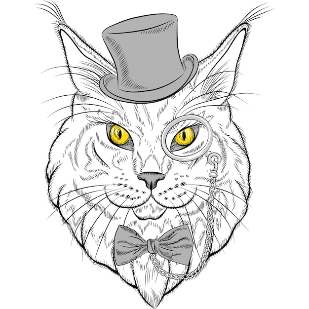 Sketch closeup portrait of funny maine coon cat hipster