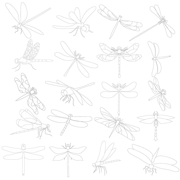 Sketch contour dragonflies on a white background set